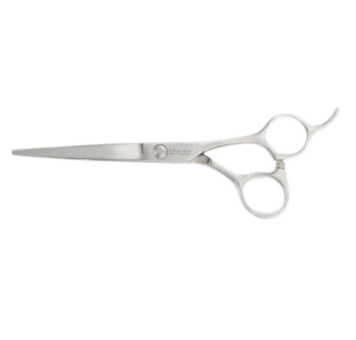 Stylist RS1 6.0