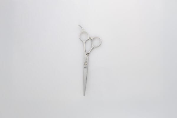 Stylist RS1 6.0